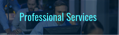 Professional Services Button